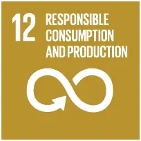 SDG 1